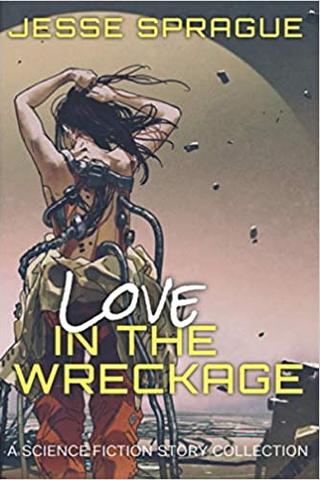 Love in the Wreckage: A Science Fiction Story Collection