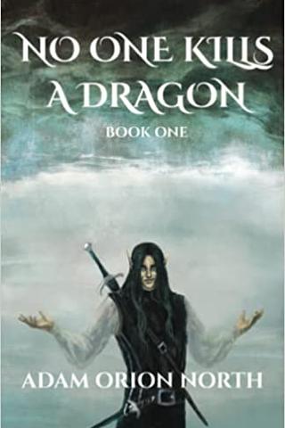 No One Kills A Dragon: Book One 