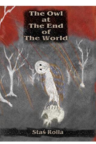 The Owl at The End of The World