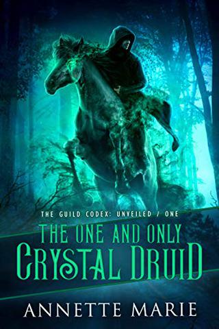 The One and Only Crystal Druid (The Guild Codex: Unveiled Book 1)