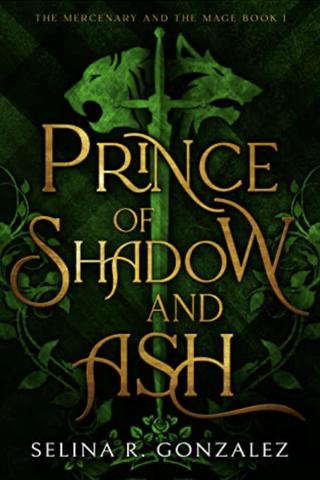 Prince of Shadow and Ash (The Mercenary and the Mage #1)